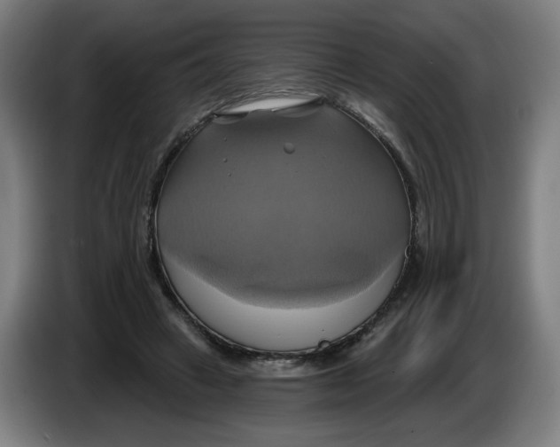 X0000086220449200704191742