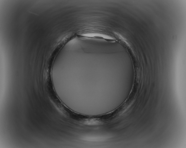 X0000086220451200704191742