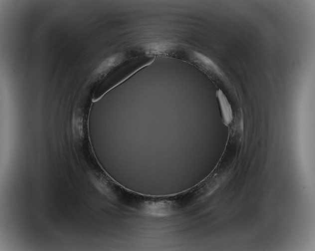 X0000086220452200704191742