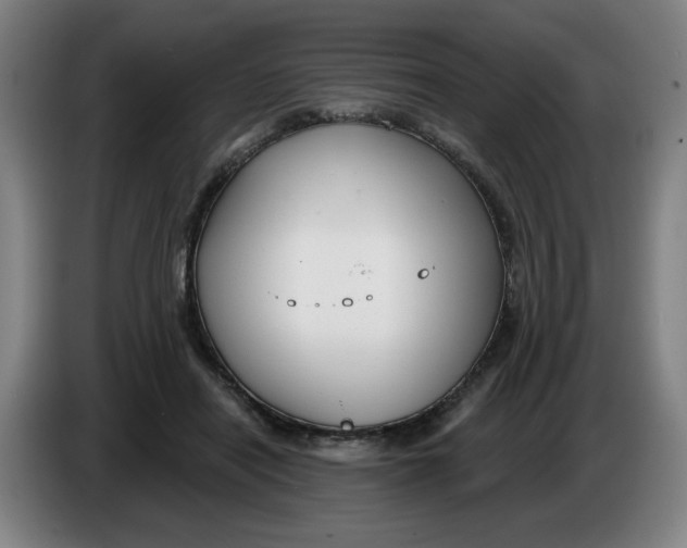 X0000086220454200704191742