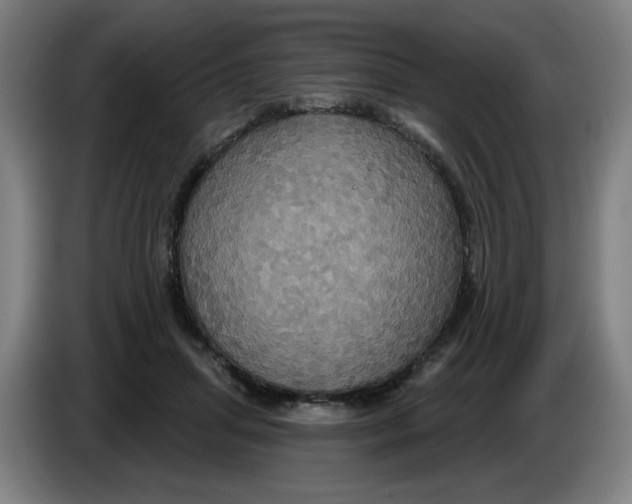 X0000086220455200704191742