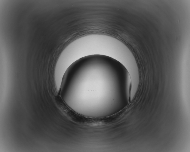 X0000086220456200704191742