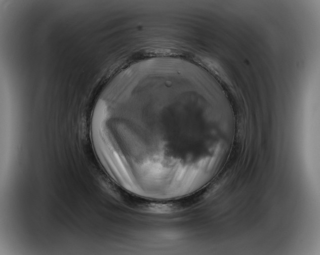 X0000086220457200704191742