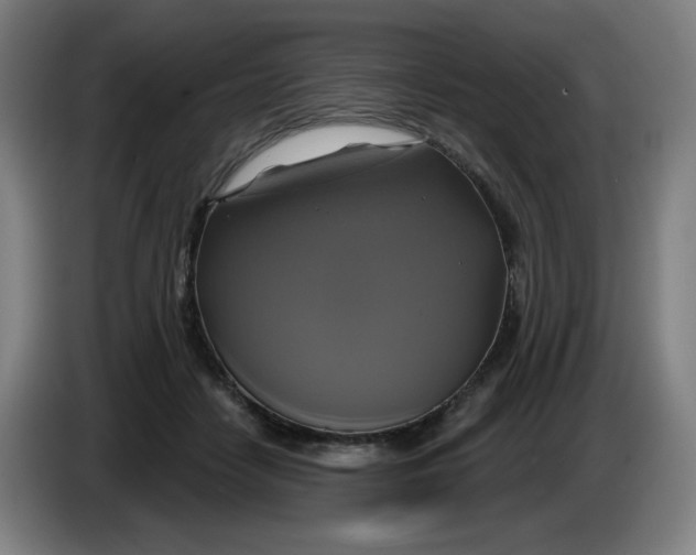 X0000086220458200704191742