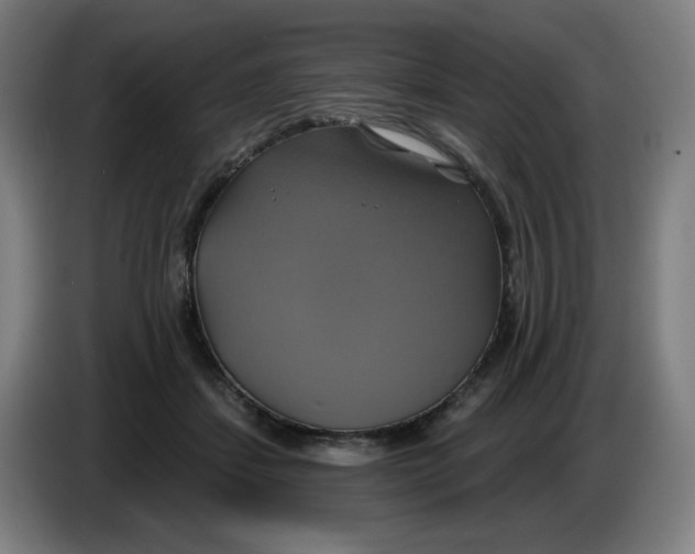 X0000086220459200704191742