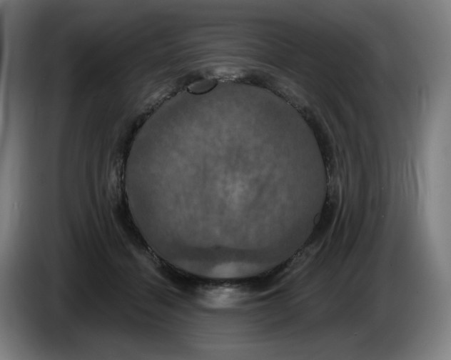 X0000086220460200704191742