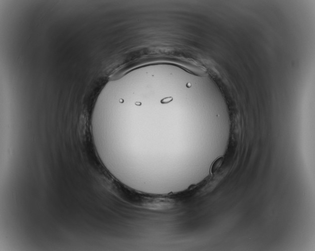 X0000086220463200704191742