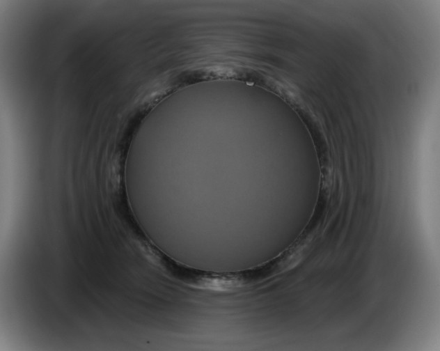 X0000086220466200704191742