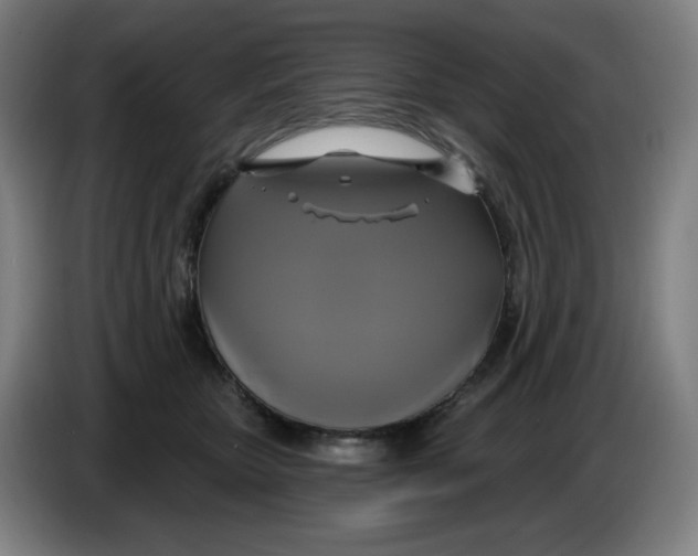 X0000086220467200704191742