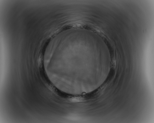 X0000086220468200704191742