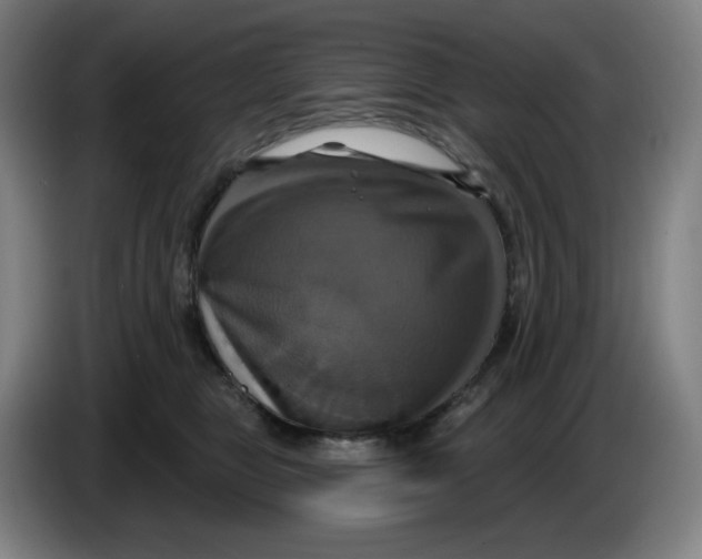 X0000086220469200704191742