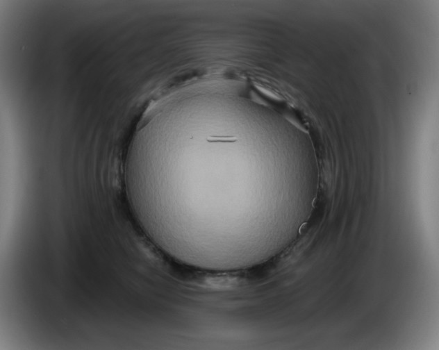 X0000086220470200704191742