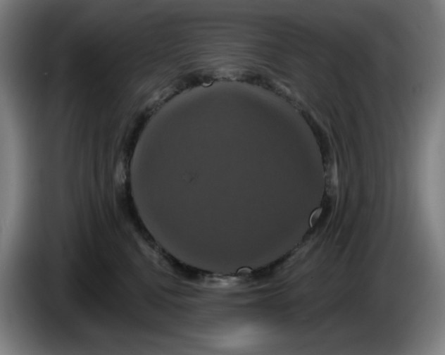 X0000086220472200704191742