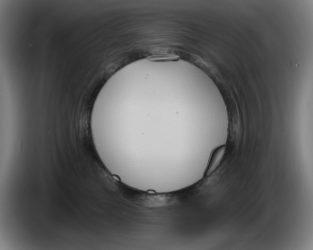 X0000086220473200704191742