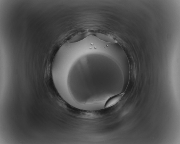 X0000086220475200704191742