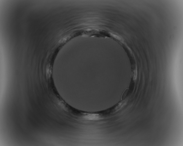 X0000086220476200704191742