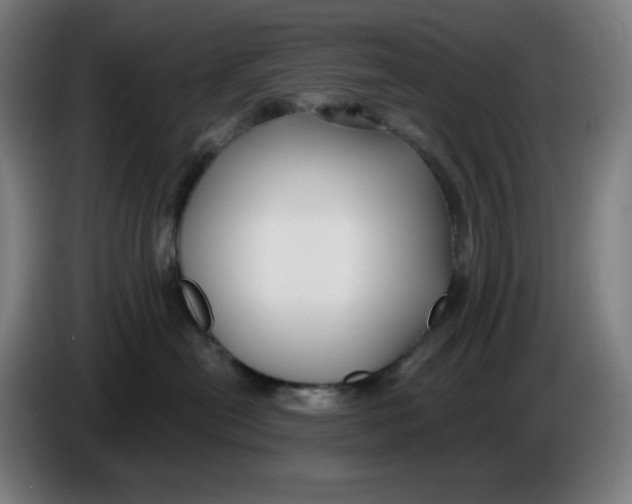 X0000086220478200704191742