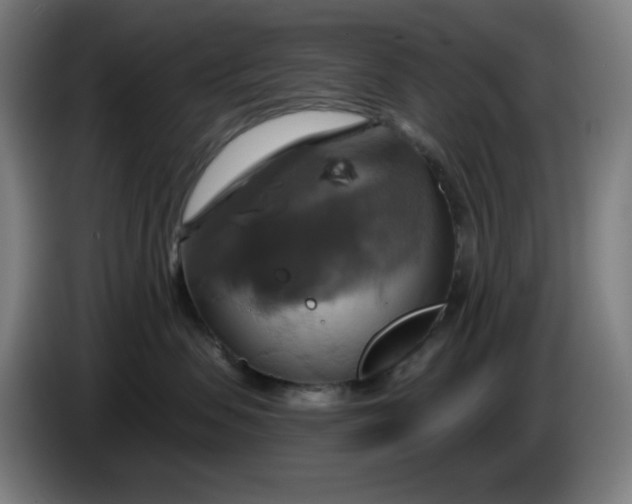 X0000086220479200704191742