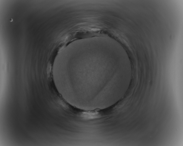 X0000086220480200704191742