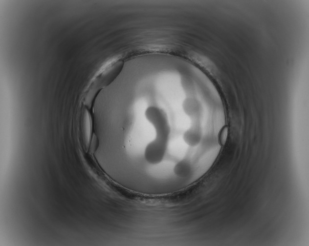 X0000086220482200704191741