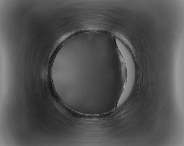 X0000086220483200704191741