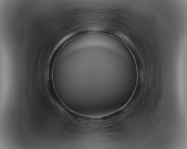 X0000086220484200704191741