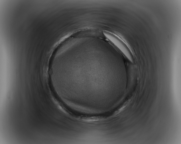 X0000086220485200704191741