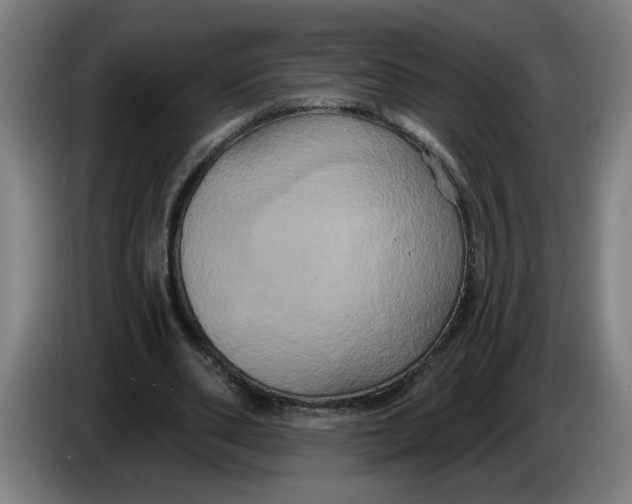 X0000086220486200704191741