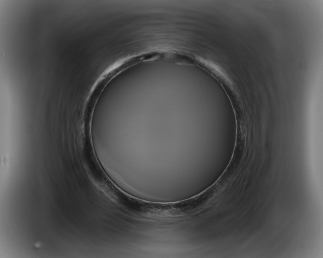 X0000086220488200704191741