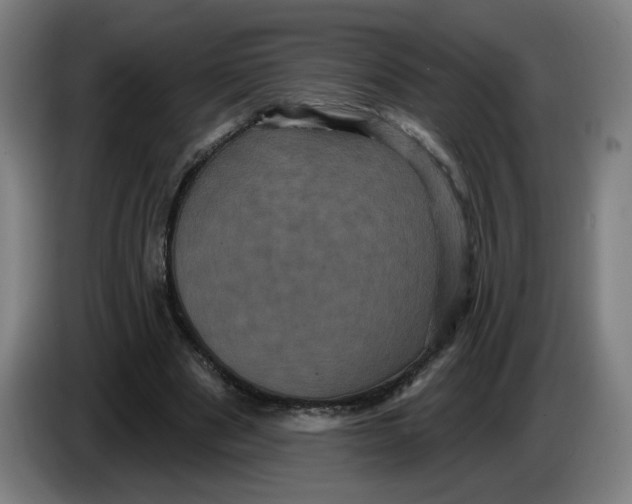 X0000086220489200704191741