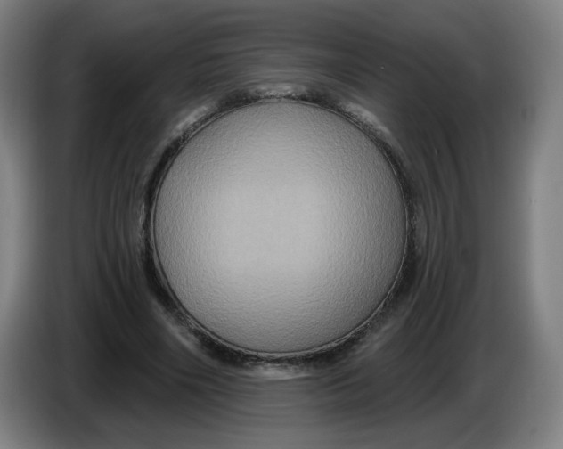 X0000086220490200704191741