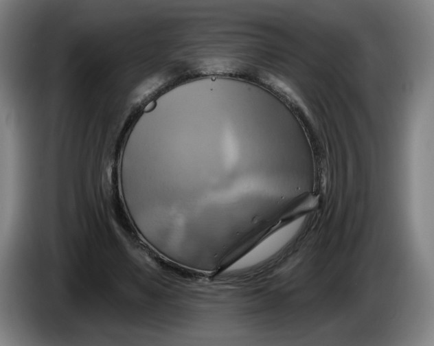 X0000086220491200704191741