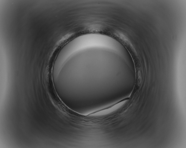 X0000086220492200704191741