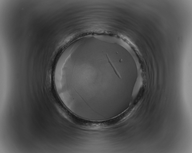 X0000086220493200704191741