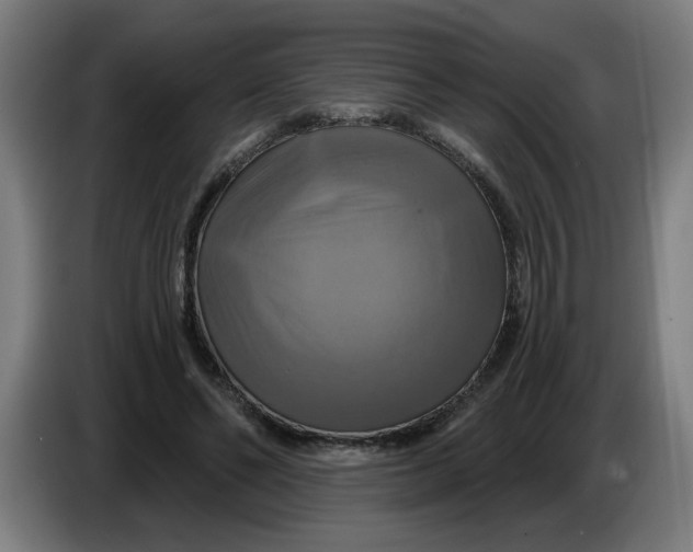 X0000086220494200704191741