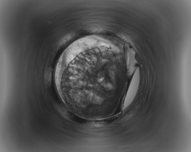 X0000086220495200704191741