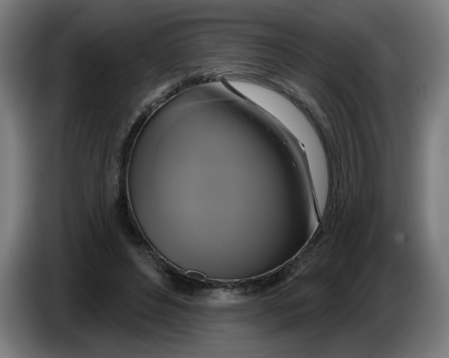 X0000086220496200704191741