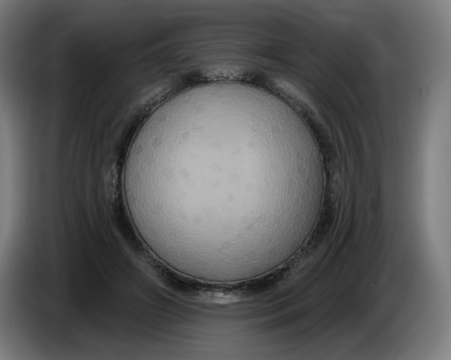 X0000086220498200704191741