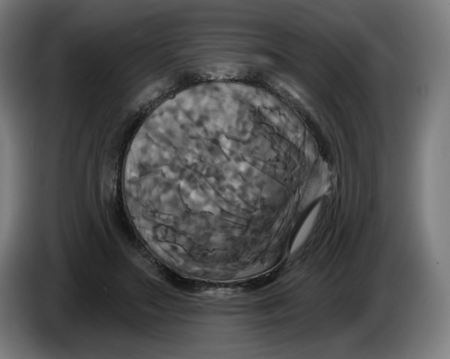 X0000086220499200704191741