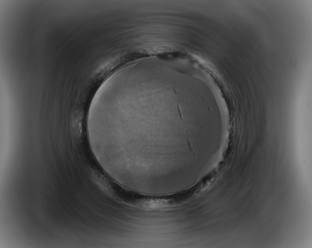 X0000086220501200704191741