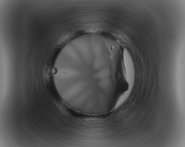 X0000086220503200704191741