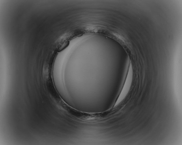 X0000086220504200704191741