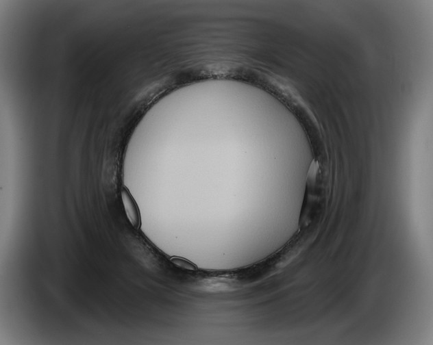 X0000086220505200704191741