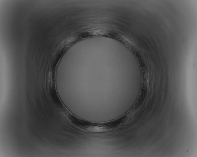 X0000086220506200704191741