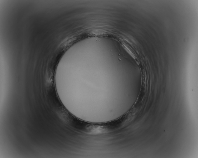 X0000086220507200704191741