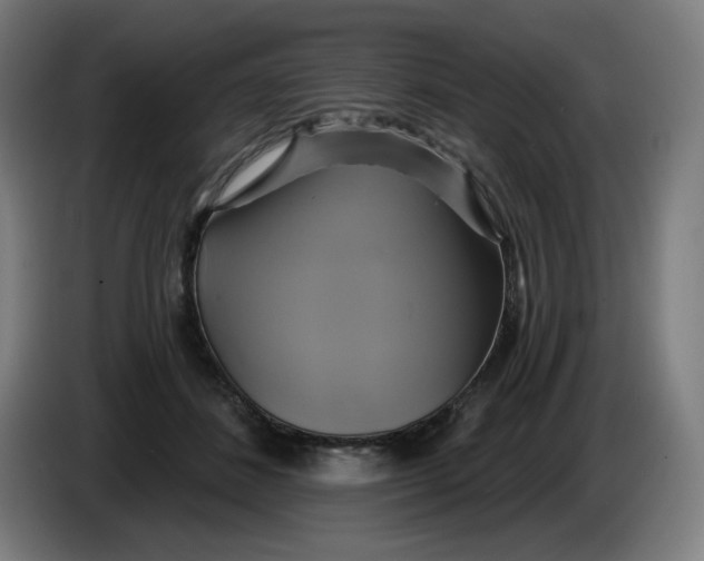 X0000086220508200704191741