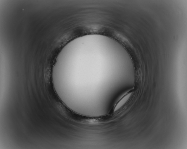 X0000086220509200704191741