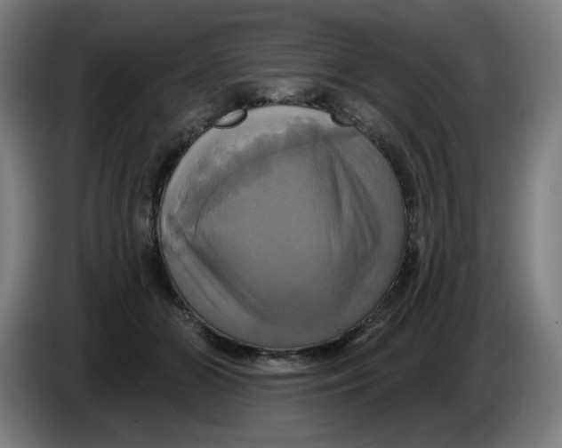 X0000086220510200704191741