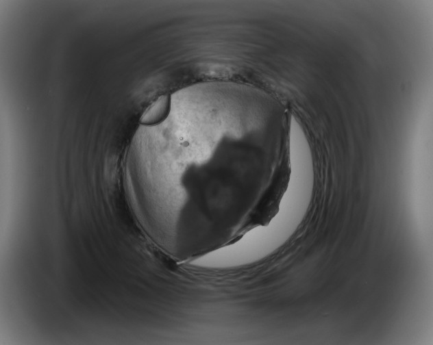 X0000086220511200704191741