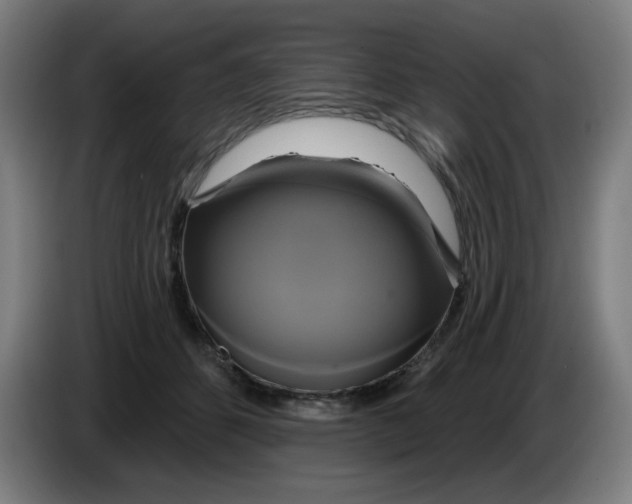 X0000086220512200704191741